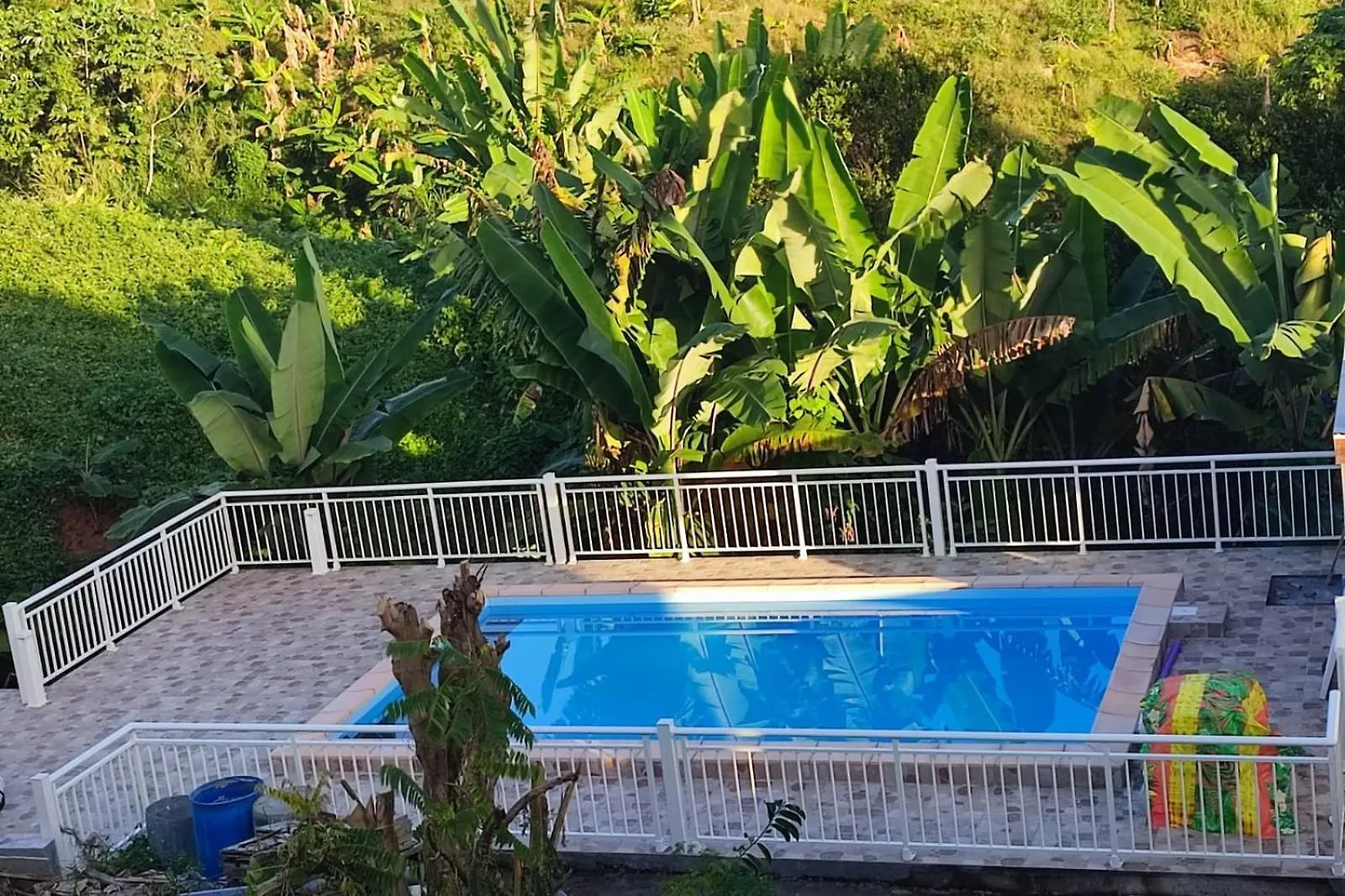 Daire Studio Fressinette Ou F3 Charme Exotique - Capesterre-Belle-Eau, Balcon, Vue Mer Et Proche Plage